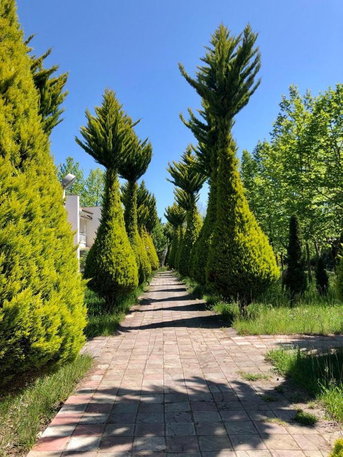 Atlant Hotel Nabran Dış mekan fotoğraf